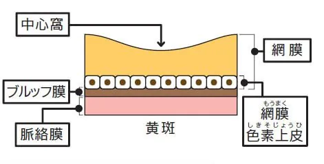 正常な状態