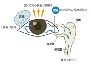 涙について